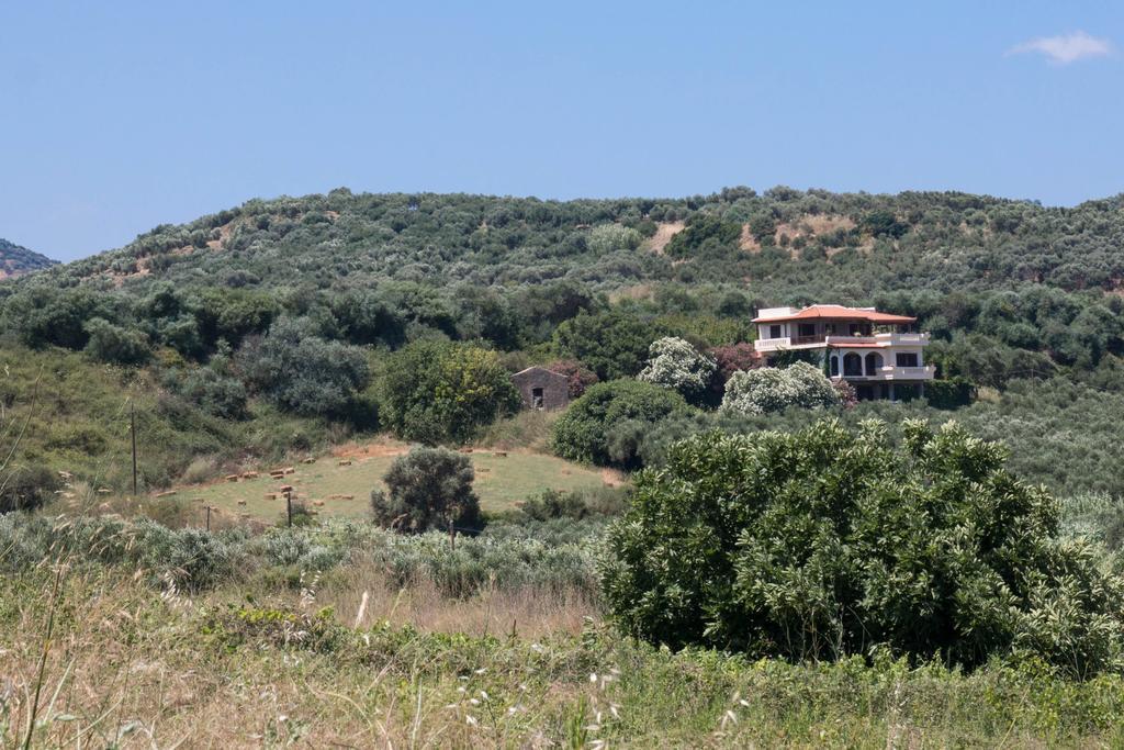 Alexandra * Stalós